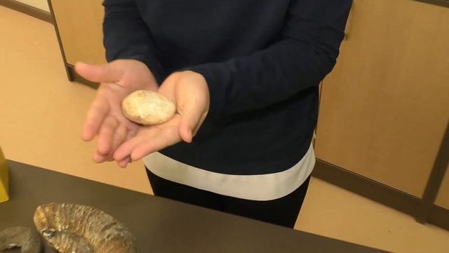 Юный геолог Самарского края ГБОУ СОШ ОЦ Южный город. смотреть онлайн