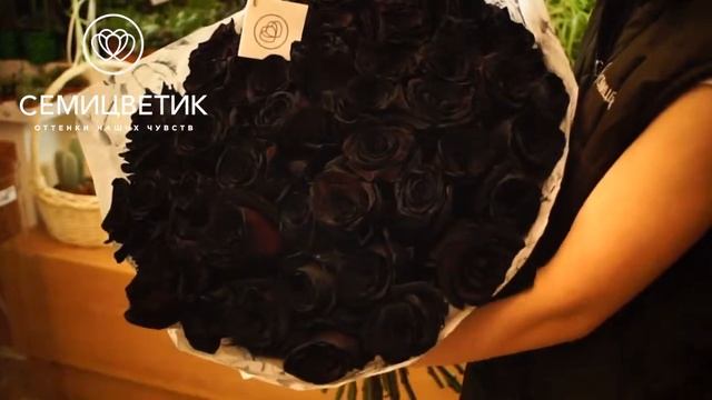 Букет из 51 черной розы (Эквадор) смотреть онлайн