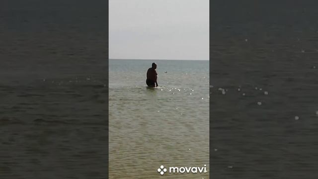 Азовское море 20 сентября 2020 смотреть онлайн