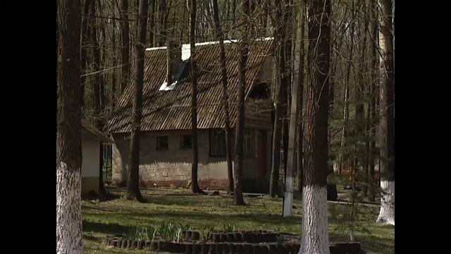 Зелёный берег смотреть онлайн