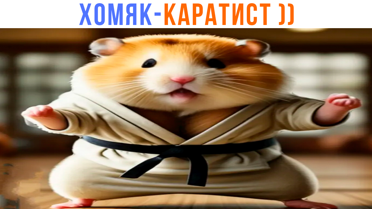 ХОМЯК-КАРАТИСТ ))) Приколы с хомяками | Мемозг 1435 смотреть онлайн