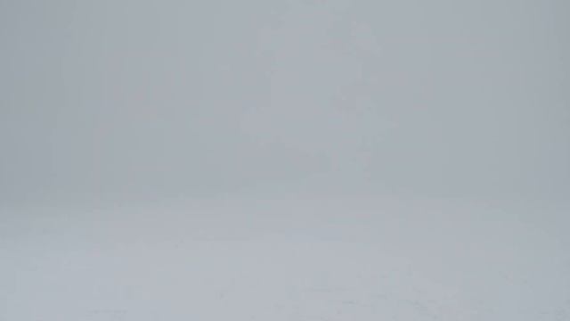 Мотоботинки SHIMA THOMSON black смотреть онлайн