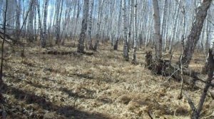 КАК ПРАВИЛЬНО ОТСТРОИТЬ ОТ ГРУНТА FISHER f 44.