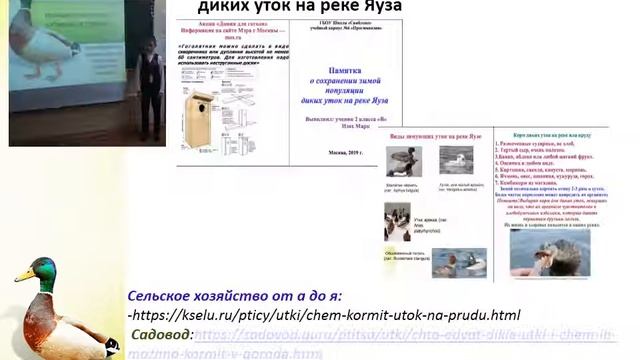 Исследовательская работа: «Утиные истории». Выполнил работу: Ученик 2 класс «В» Изох Марк смотреть онлайн