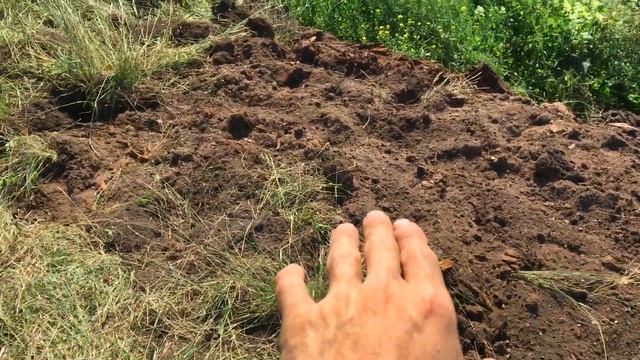 Шурф на Берегу￼ реки с достойными находками смотреть онлайн