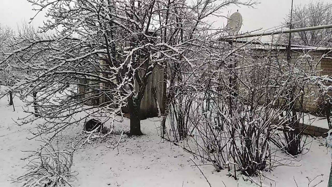 Весна в полном разгаре. смотреть онлайн
