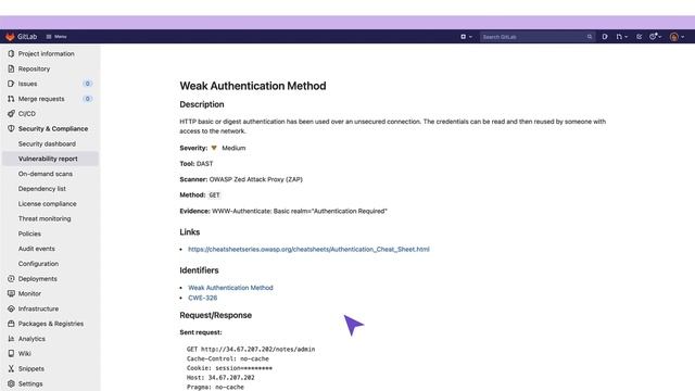 Vulnerability report - The basics (HD) смотреть онлайн