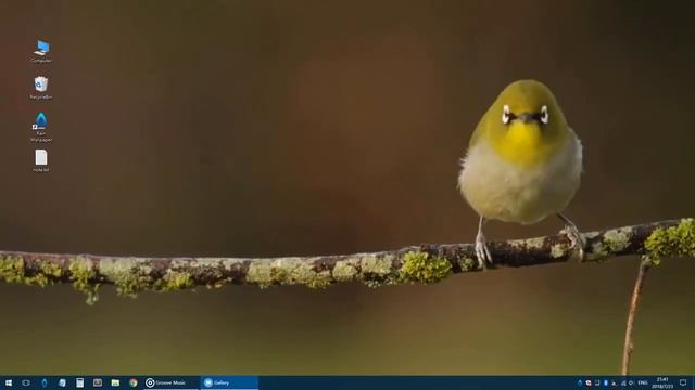 RainWallpaper - бесплатные живые обои для рабочего стола компьютера смотреть онлайн