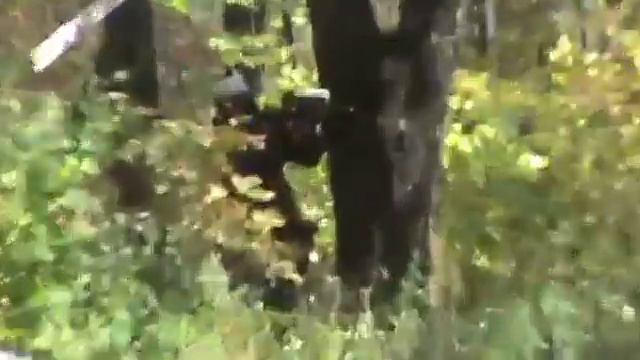 БСИ "Блиц Криг" г. Арсеньев смотреть онлайн