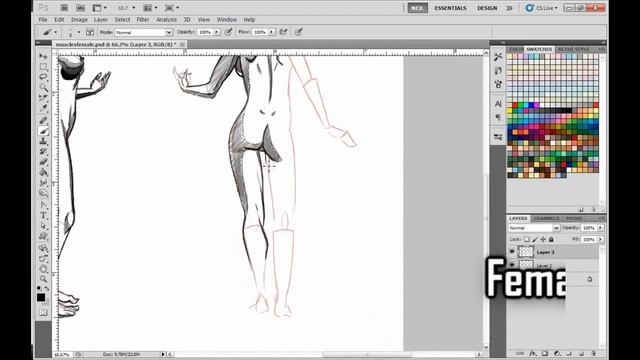 Discover the Seven Secrets to Figure Drawing смотреть онлайн