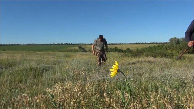 Охота на сурка байбака с карабином смотреть онлайн