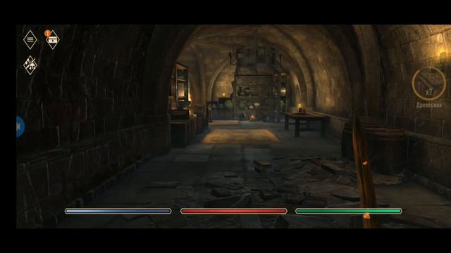 The Elder Scrolls: Blades/ Прогулка по бездне🤜🔥🦴