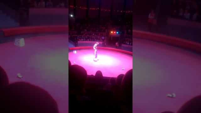 4 ноября 2017 г. смотреть онлайн