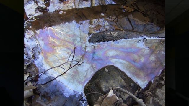 Is it possible to fuel the world from grass clippings? смотреть онлайн