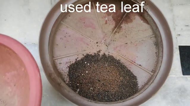 Best pre monsoon fertilizer for gardenia plant(english subtitles), gardenia care, bud drop solution смотреть онлайн