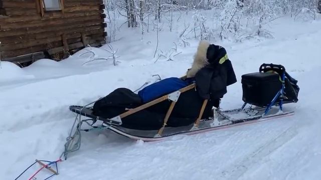 Berington Twins Anna (7th) & Kristi (8th) Finish 2022 Willow 300 Sled Dog Race Iditarod Qualifier смотреть онлайн
