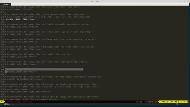 Pump up your terminal using OHMYZSH смотреть онлайн