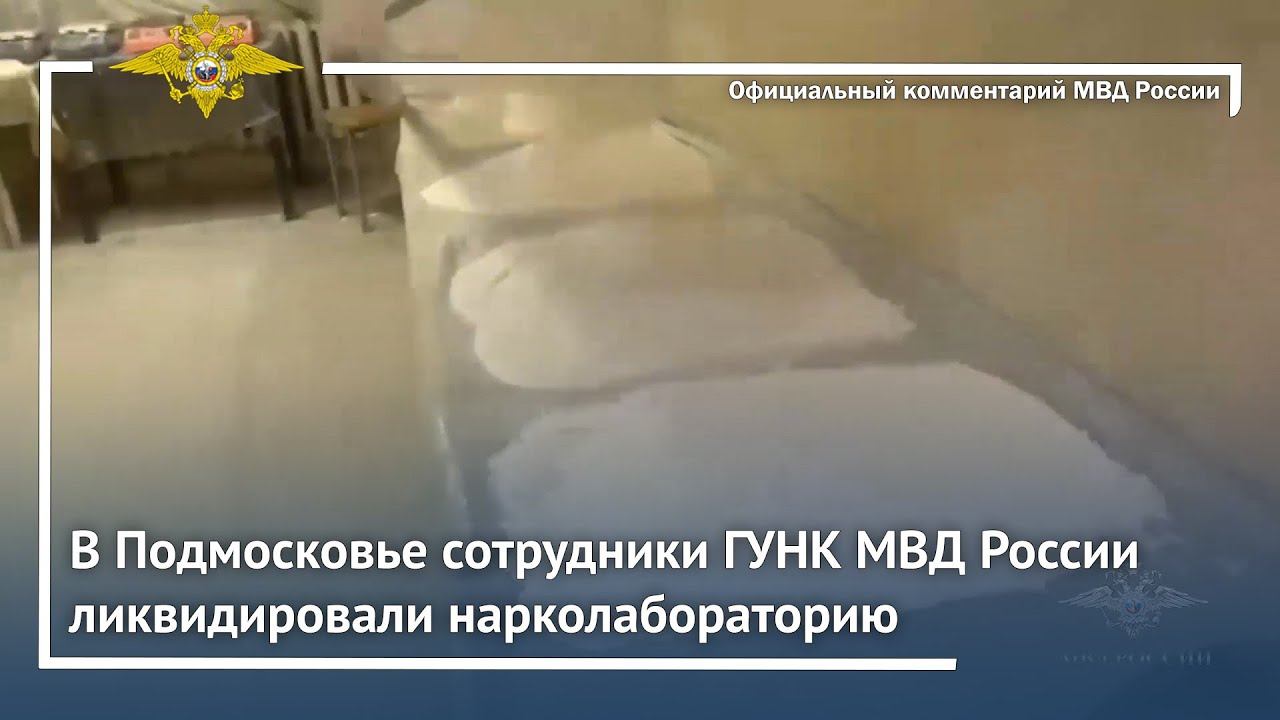 Ирина Волк: В Подмосковье сотрудники ГУНК МВД России ликвидировали нарколабораторию смотреть онлайн