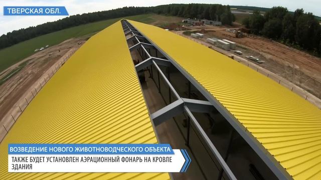 Возведение нового животноводческого объекта в Тверской области выходит на финишную прямую смотреть онлайн