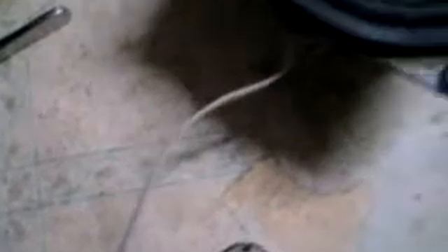 самодельный усилитель смотреть онлайн