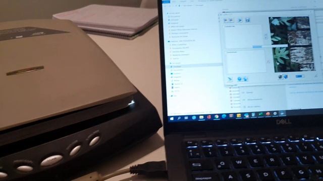 scanner Genius Colorpage HR8 en Windows 10 Funcionando смотреть онлайн