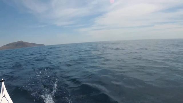 Весенняя прогулка с дельфинами 2 смотреть онлайн