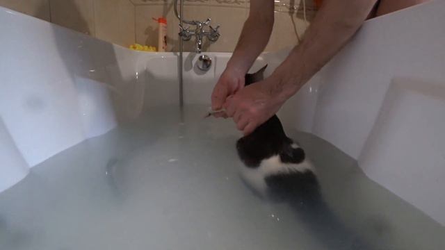 Вымыть киску смотреть онлайн