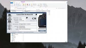 Как узнать пробег фотоаппарата Canon