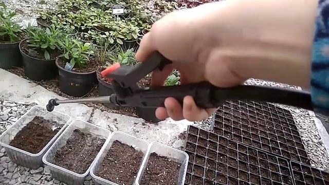 Посев томата и капусты. смотреть онлайн