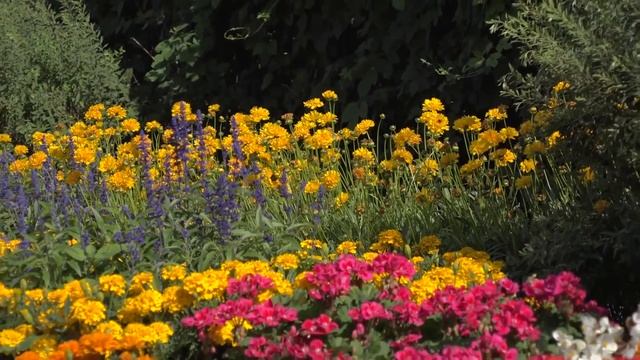 Sony PXW-Z90V 4K HD Compact NXCAM Camcorder смотреть онлайн