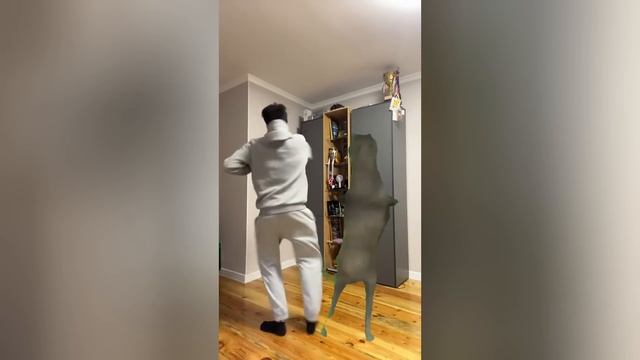 Lobo Dançando: A História Por Trás do Meme e Música (Komm Tanzen – Ich Will Nicht) смотреть онлайн
