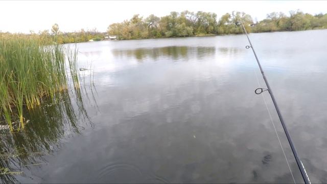 У щуки выходной . Ловлю с берега окуня на дроп - шот. смотреть онлайн