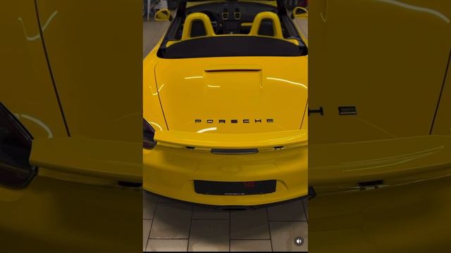 -3813680087328741638