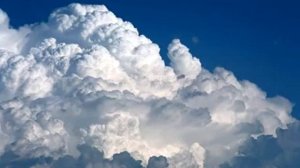 МИХАИЛ ЕВДОКИМОВ