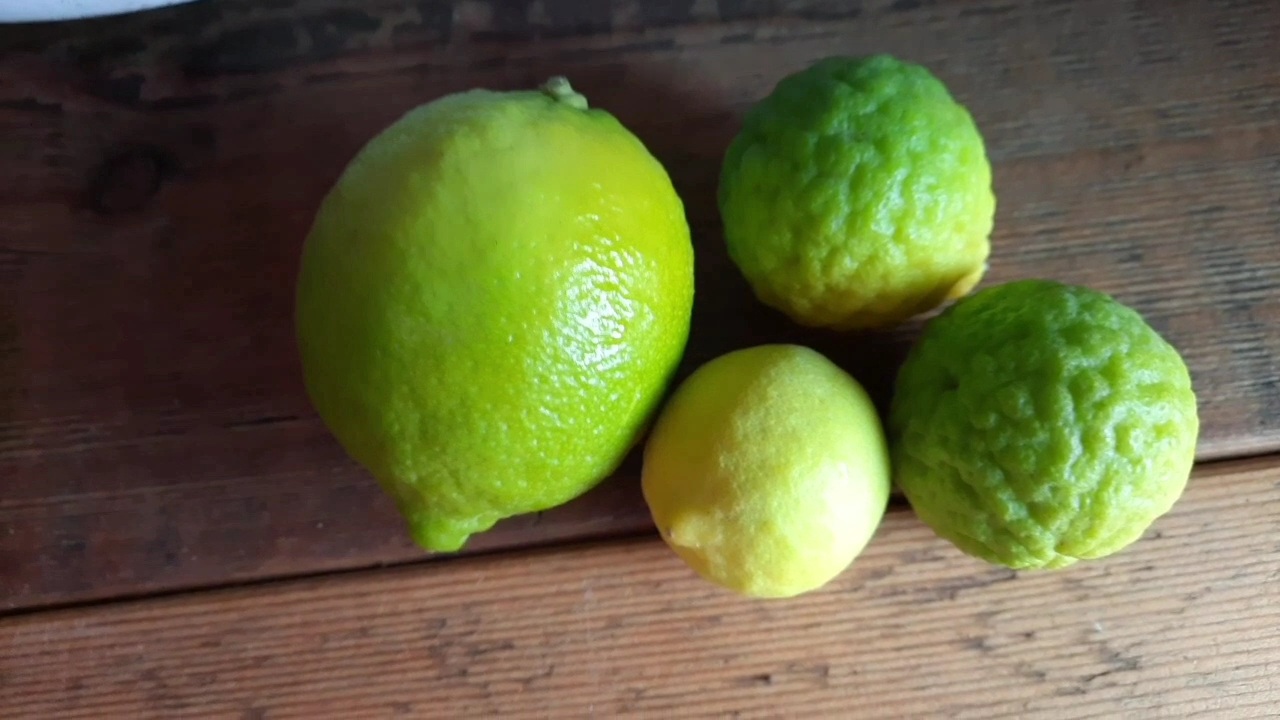 Лайм Таити, Лимон Пика, Лайм Каффрский. Мои растения.
