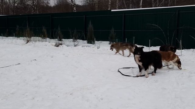 Игрек,Бинго,Весна,Север 31.01.2023 смотреть онлайн