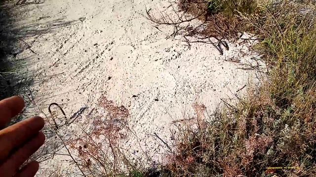 Съездил На Металлокоп На Урочище, Где Раньше Была Деревня Навозоводка. смотреть онлайн