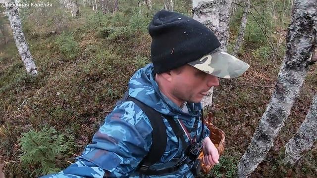 Белый гриб и много лисичек в ноябре! Тихая охота в новом грибном лесу в снегопад! Грибы 2020 Карели смотреть онлайн