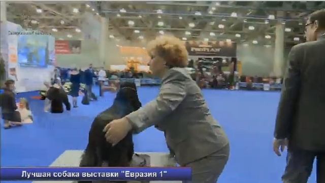ЕВРАЗИЯ 1 22 марта 2014 смотреть онлайн