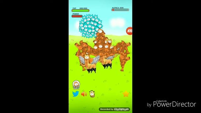 alpaca evolution finale episode 2 смотреть онлайн