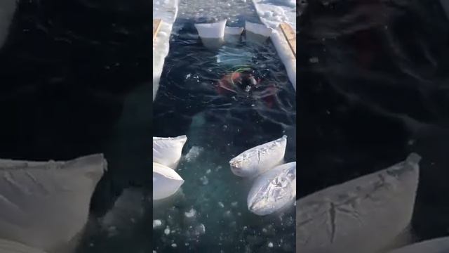 Спасение снегохода смотреть онлайн