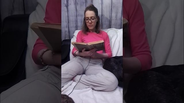 Николай Носов. "Тук тук тук". смотреть онлайн