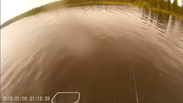 кумжа 3,2кг. Сев.Карелия. смотреть онлайн