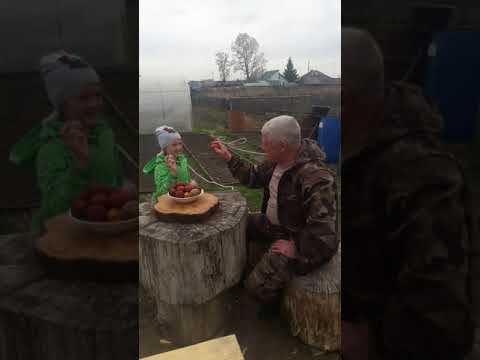 #shorts Битва яйцами Пасха смотреть онлайн