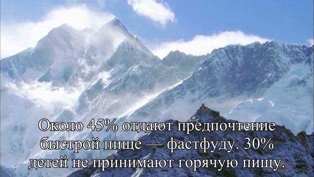 Здоровому образу жизни детей мешают компьютеры и фастфуд — Статья смотреть онлайн