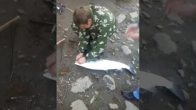 рыбалка на речке кола смотреть онлайн