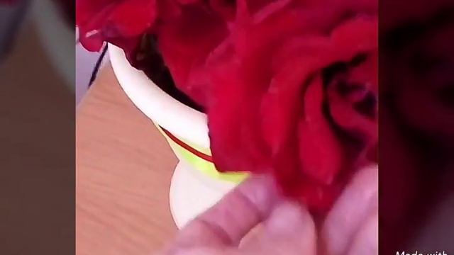 14 июля 2017 г. смотреть онлайн