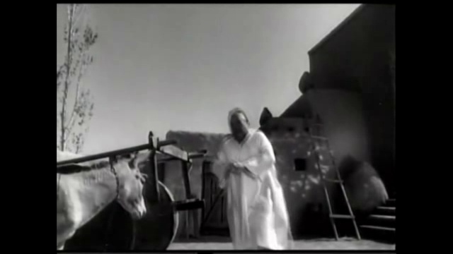 ՏԵՐՆ ՈՒ ԾԱՌԱՆ, ԳԵՆԵՐԱԼՆ ՈՒ  Simon@