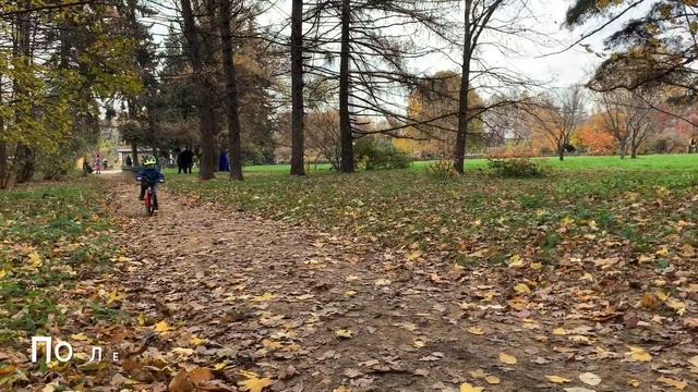 FROG 48 Kid's Bike Детский велосипед смотреть онлайн