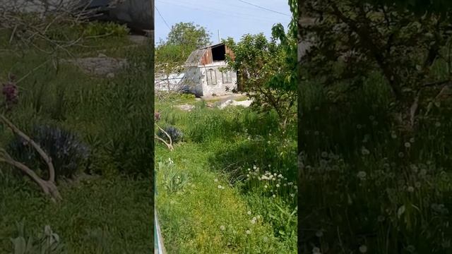 Выбираем дачу в садоводстве летний сад в городе волгодонске смотреть онлайн